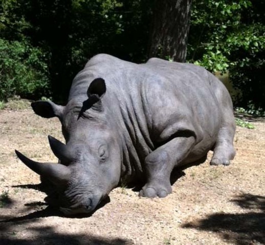 Festival des Arts Éphémères
