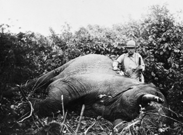 Shooting an Elaphant