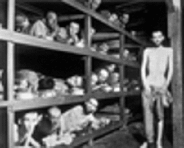 Japanese internment camps