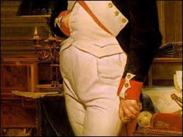 Napoleon creates a new aristocracy