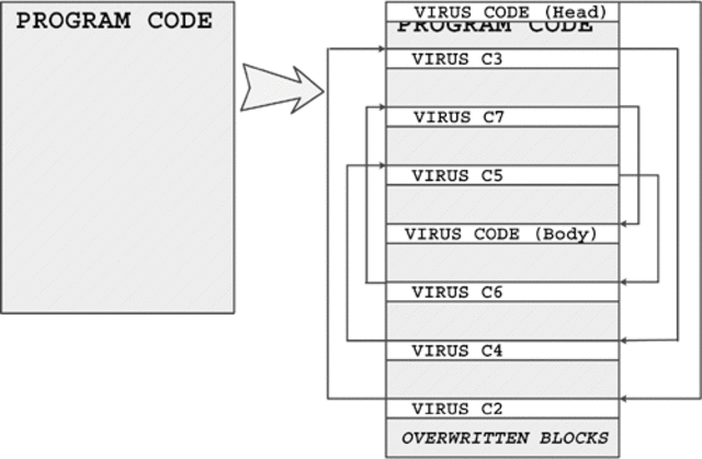 The First Multipartite Appears