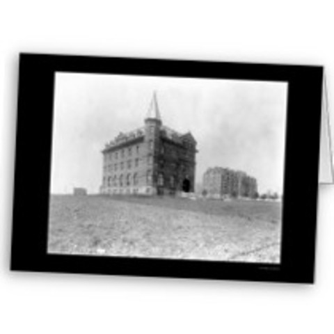 Ley Orgácica de la Educación