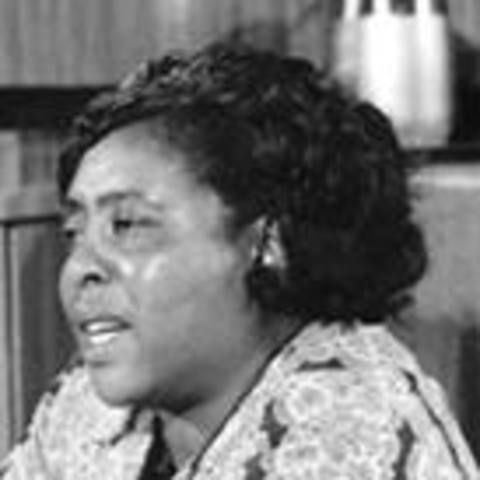 Political Organizing