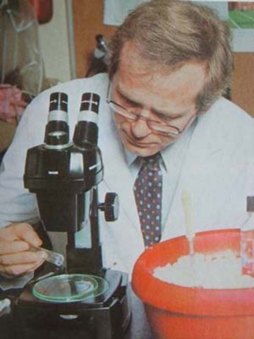 chapter 17 section 2- cracking the code.