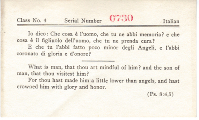 Immigration Requirements