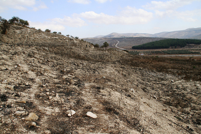 Another executive order chap 18 sec 5