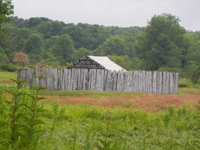 The Battle of Fort Necessity