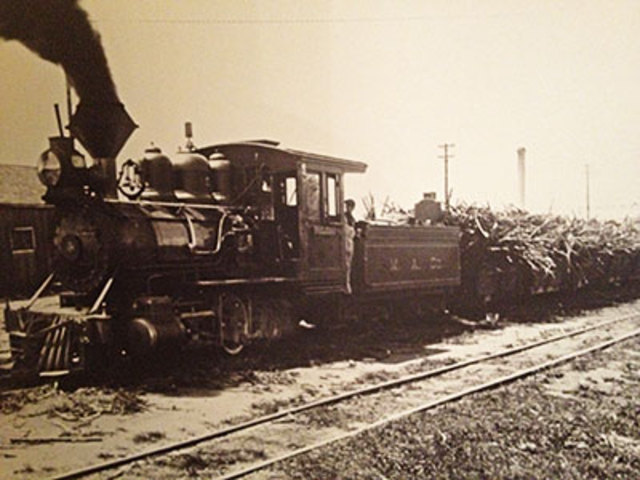 第一个火车在夏威夷