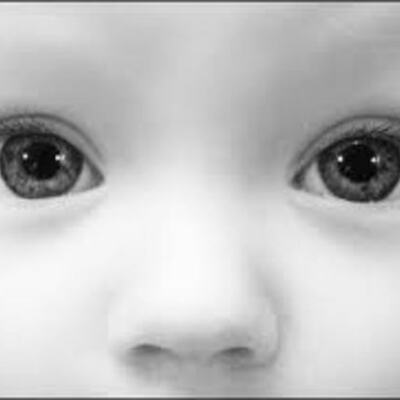 Timeline: Development of the Eye during Pregnancy