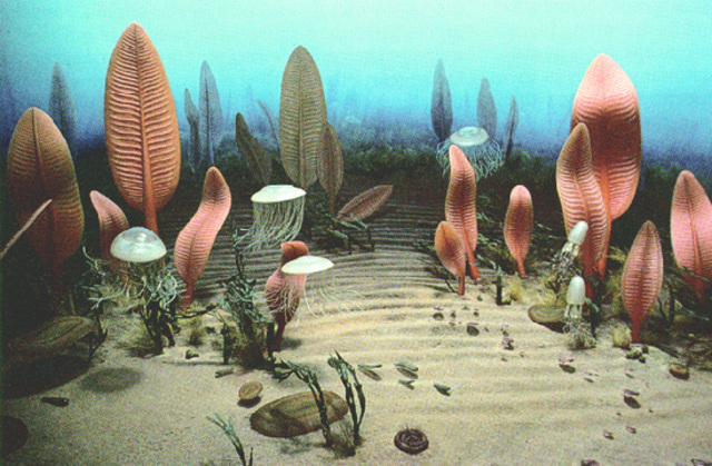 Proterozoic Eon 2.5 BYA - 570 MYA