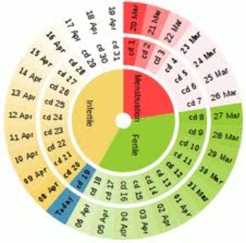 Last Day of Menstral Cycle