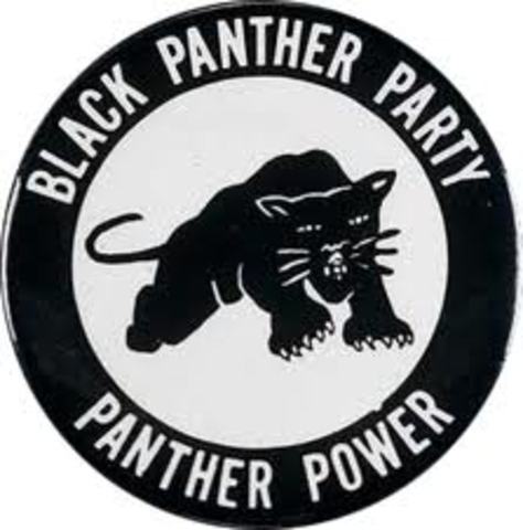 The Black Panther Party