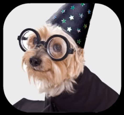 Pero, lo que si se sabe y es cierto es que cadejos son magicos