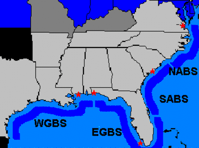 A blockade of the south