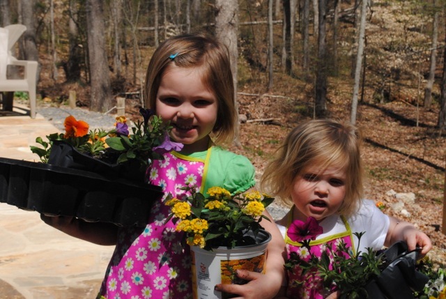 I have planted flowers!