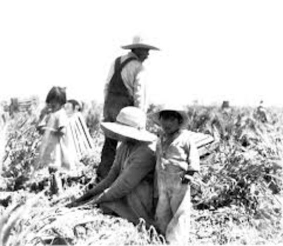 Launching the struggle for Social Justice