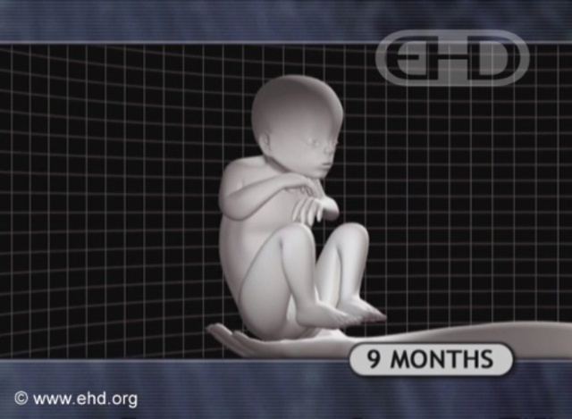 BAM!!! Baby Boy or Girl Is born!!!! :D