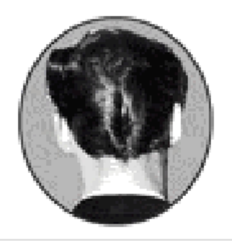 Pop Culture and Trends