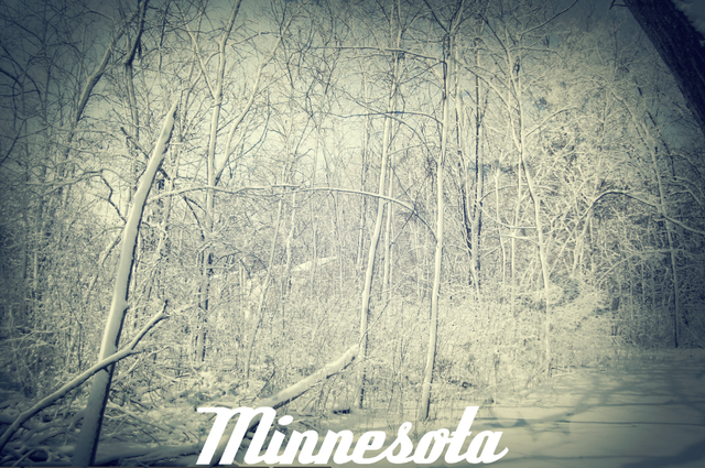 I Moved Back To Minnesota