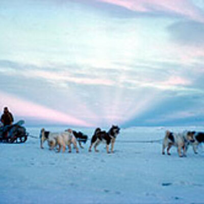 Timeline: Izzy Antarctica Timeline