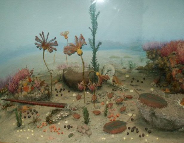 Silurian 400 MYA - 395 MYA