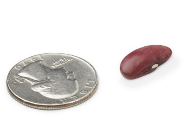 Size of baby after month 2