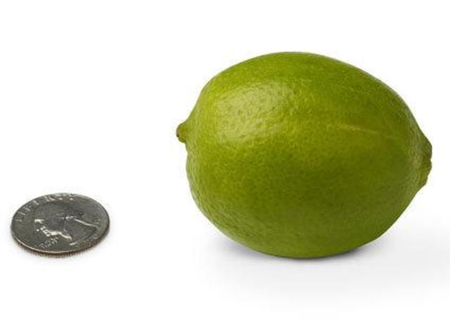 Size of Baby after Month 3