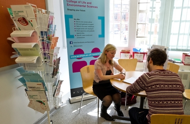 One-to-one appointments and CV advice