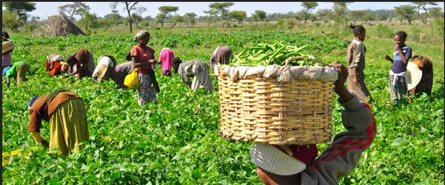 Italy invades and takes Ethiopia.