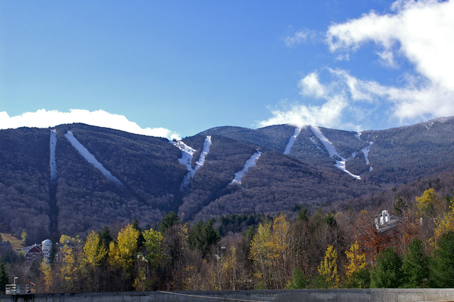 Sugarbush (VARA States SG)