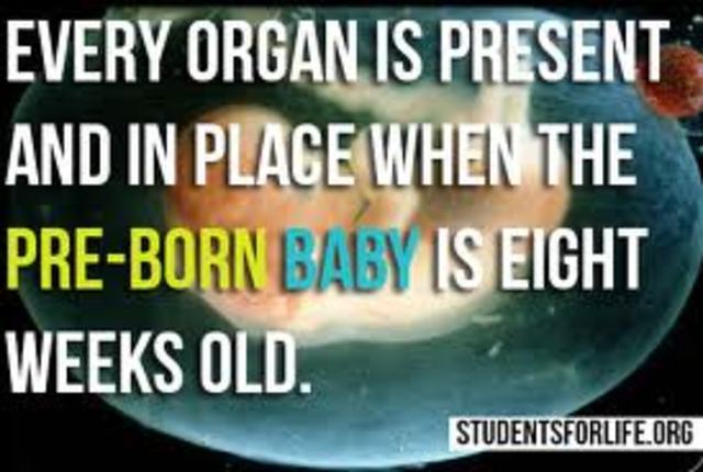 More frequent hand to face contact (8 weeks)