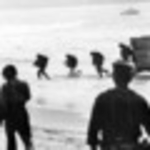 Troops Arrive at Da Nang