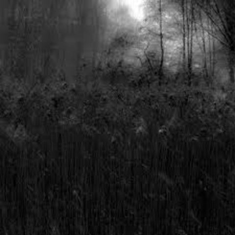 Do Not Go Gentle into That Good Night