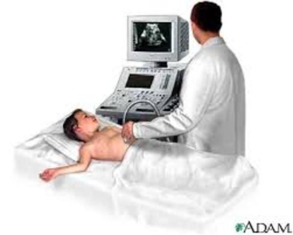 Ultrasound used to see inside the body