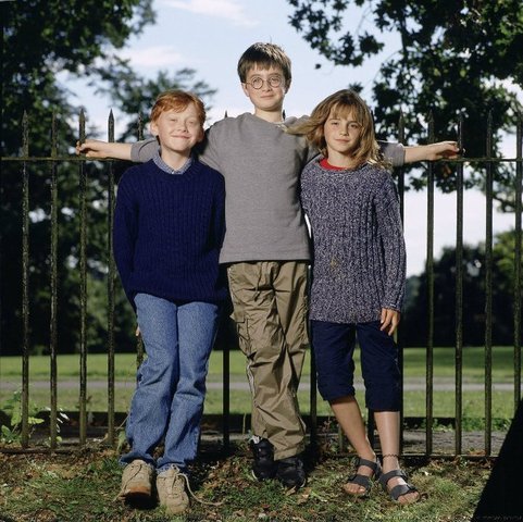 Daniel Radcliffe, Emma Watson, and Rupert Grint are choosen to play Harry, Hermione, and Ron