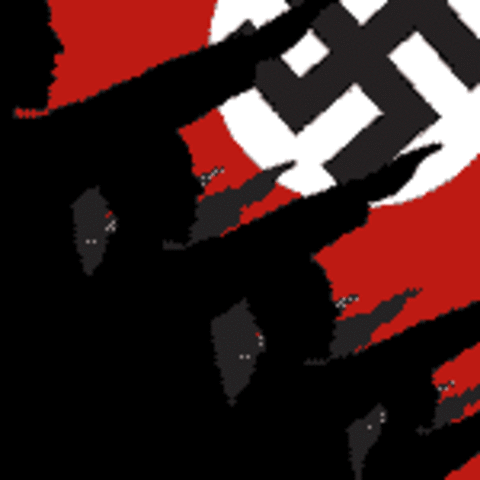 Hitler Takes Power in Germany