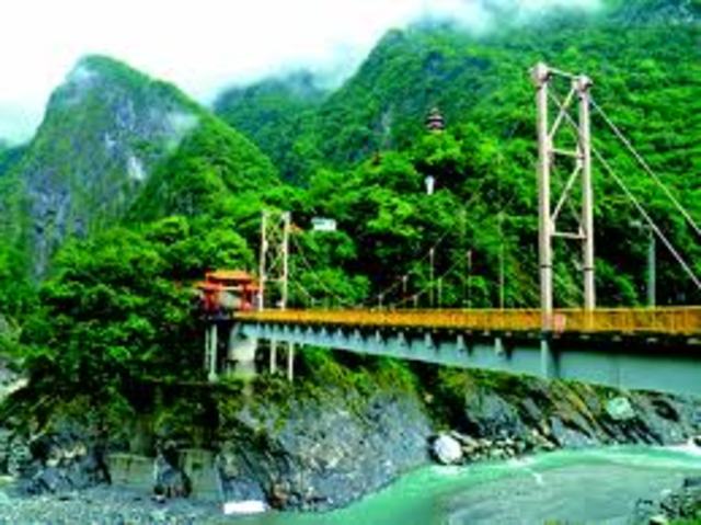 Taiwan's Vegitation: