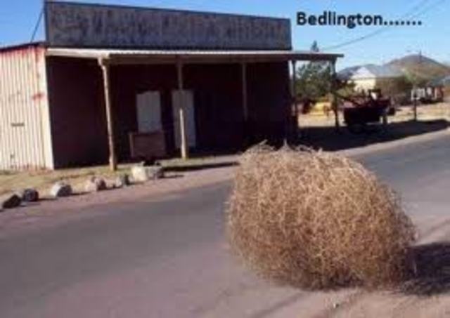 Adelphia Business Solutions Inc. files for bankruptcy