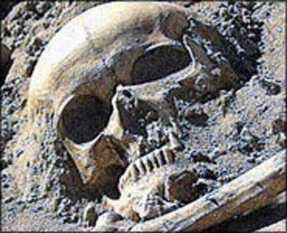 Napoleon Career "Chief of the Army of the Interior"