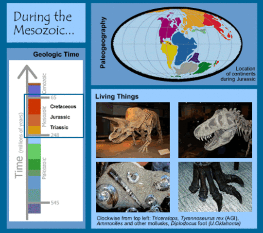 Mesozoic 225 MYA - 65 MYA
