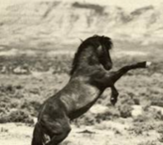 The Death of Charley's first Dad