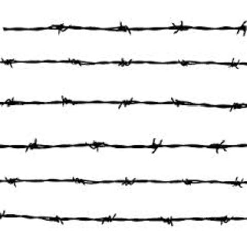Barbed wire