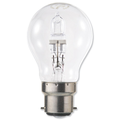 Electric Light Bulb~