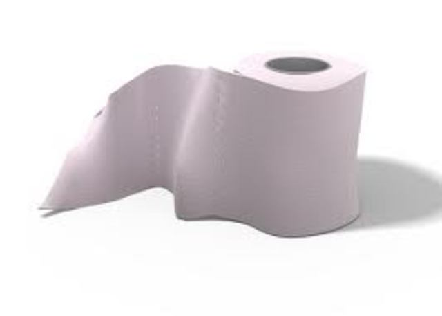 Toilet Paper