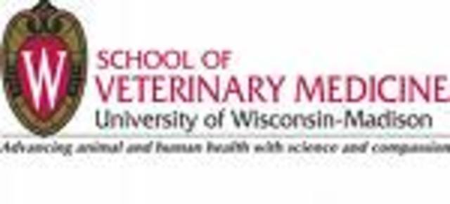 I will apply for Veterinary School at UW-Madison