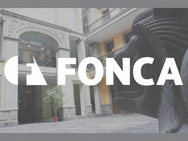 Fundacion del Fondo Nacional para la cultura y las artes