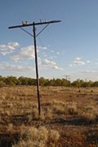 telegraph line