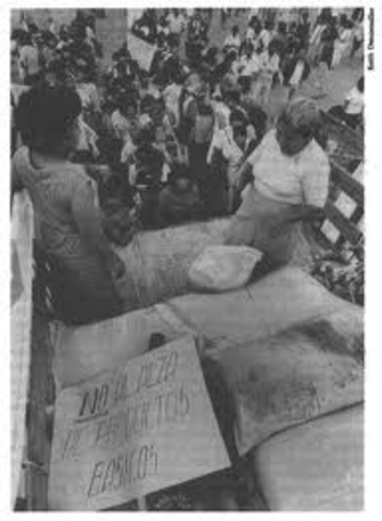 Se firmó el Pacto de solidaridad Económica (PSE)