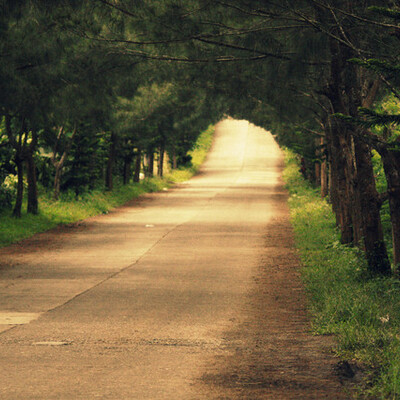 Timeline: Tecnologia a Serviço da Aprendizagem