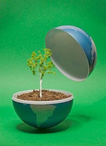 Programa Nacional de Ecologia